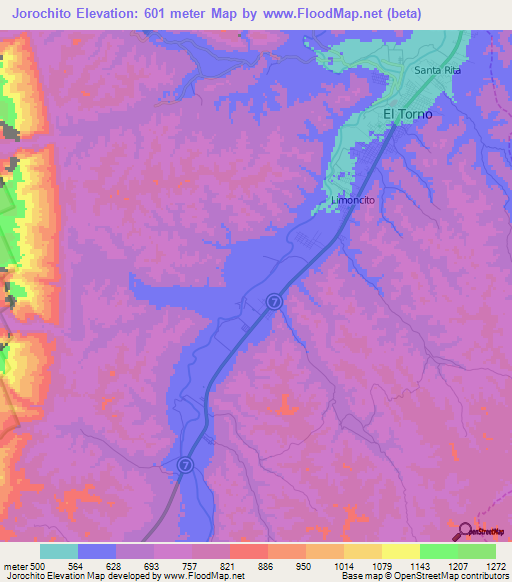 Jorochito,Bolivia Elevation Map