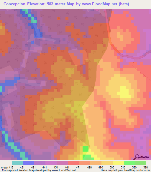 Concepcion,Bolivia Elevation Map
