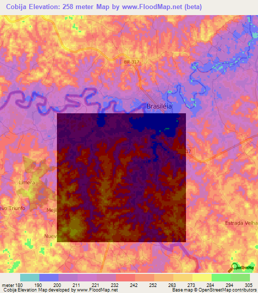 Cobija,Bolivia Elevation Map