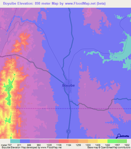 Boyuibe,Bolivia Elevation Map