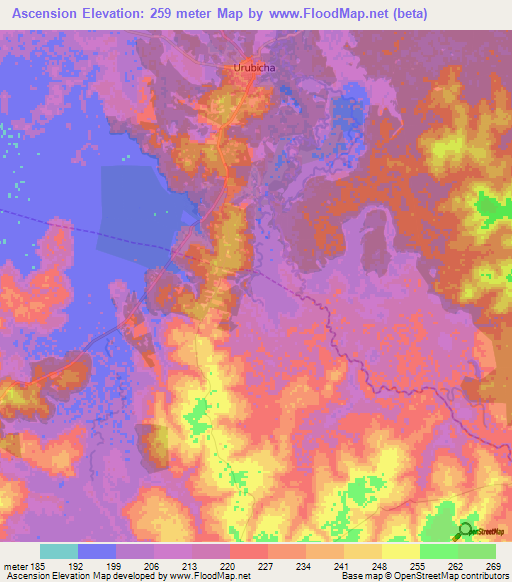 Ascension,Bolivia Elevation Map