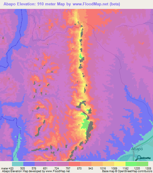 Abapo,Bolivia Elevation Map