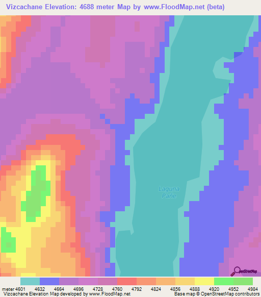 Vizcachane,Peru Elevation Map