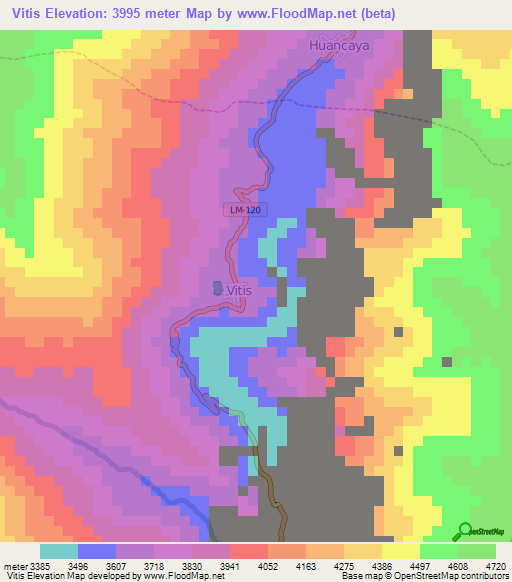 Vitis,Peru Elevation Map