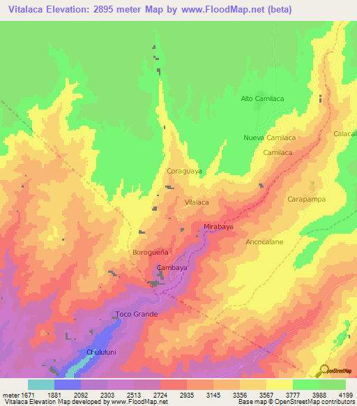 Vitalaca,Peru Elevation Map