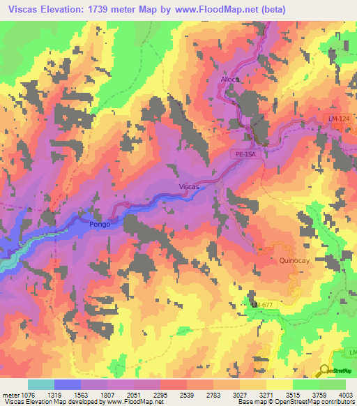 Viscas,Peru Elevation Map