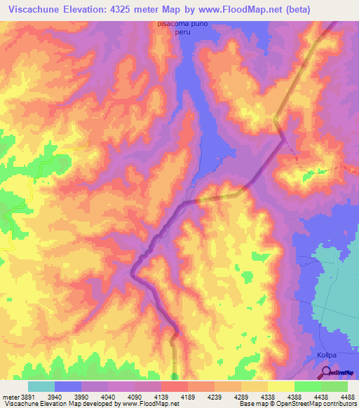 Viscachune,Peru Elevation Map