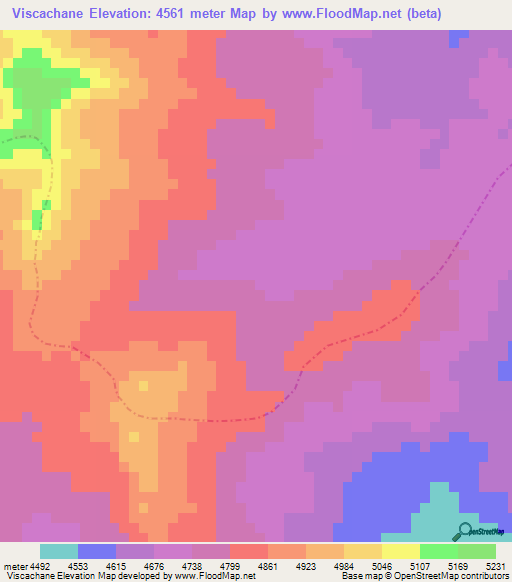 Viscachane,Peru Elevation Map