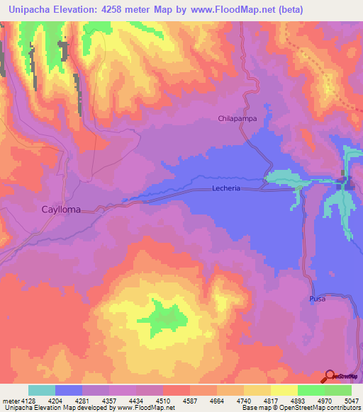 Unipacha,Peru Elevation Map
