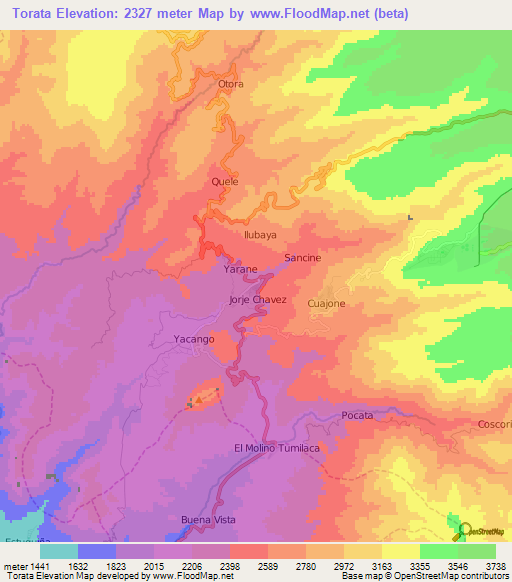 Torata,Peru Elevation Map