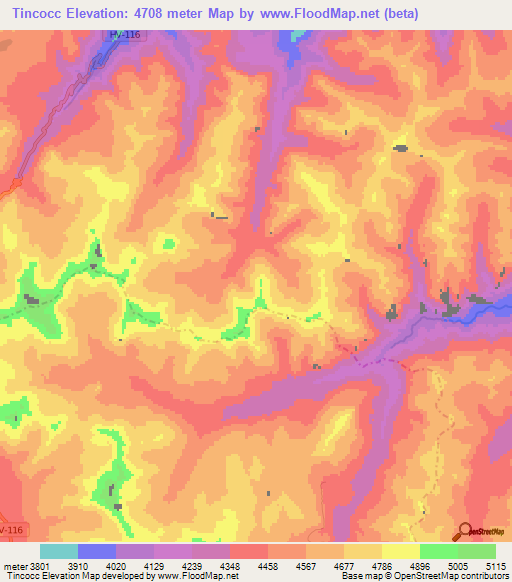 Tincocc,Peru Elevation Map