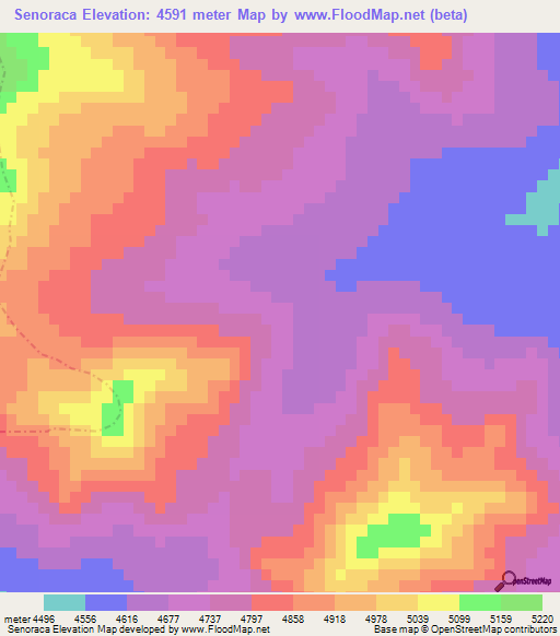 Senoraca,Peru Elevation Map