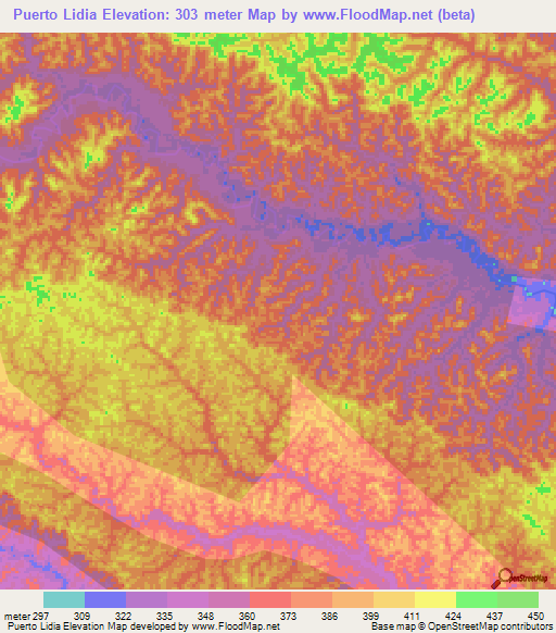 Puerto Lidia,Peru Elevation Map