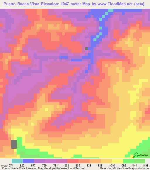 Puerto Buena Vista,Peru Elevation Map