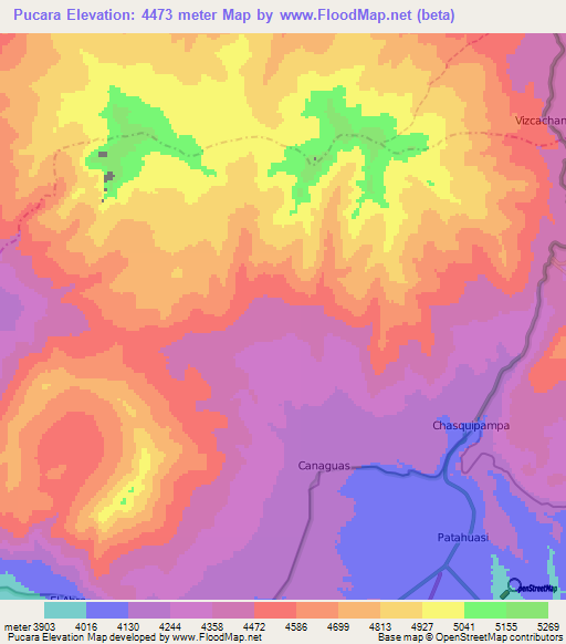Pucara,Peru Elevation Map