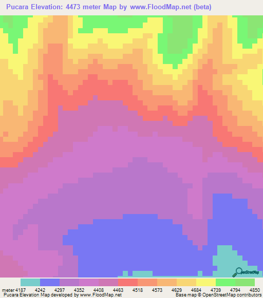 Pucara,Peru Elevation Map