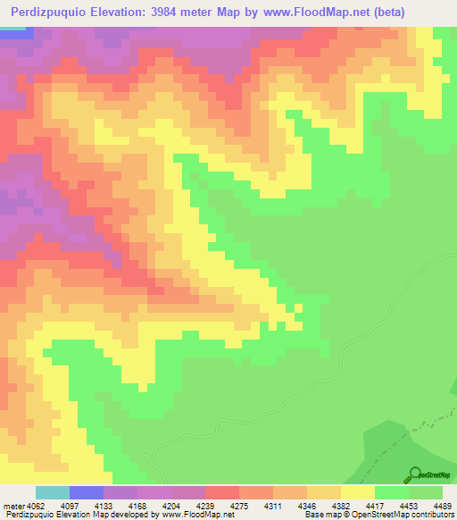 Perdizpuquio,Peru Elevation Map