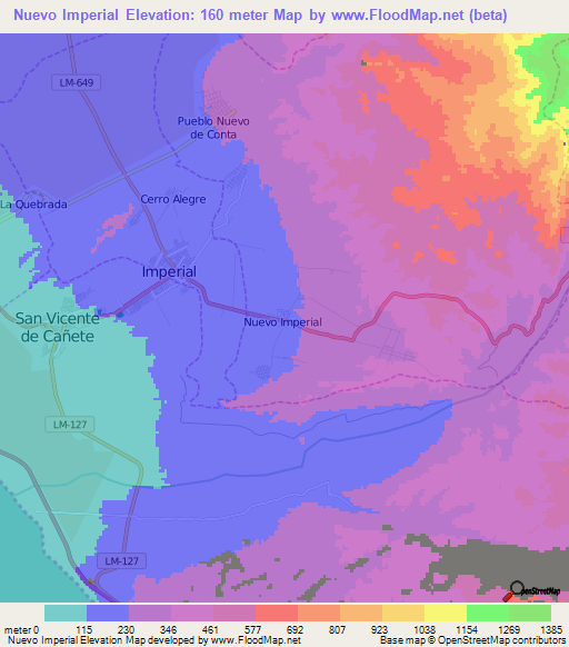 Nuevo Imperial,Peru Elevation Map