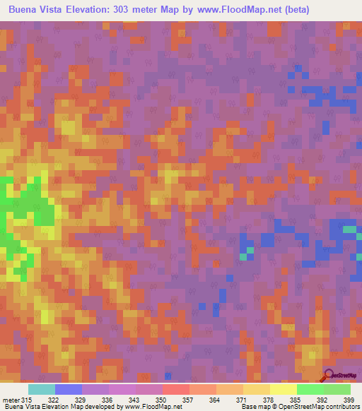 Buena Vista,Peru Elevation Map