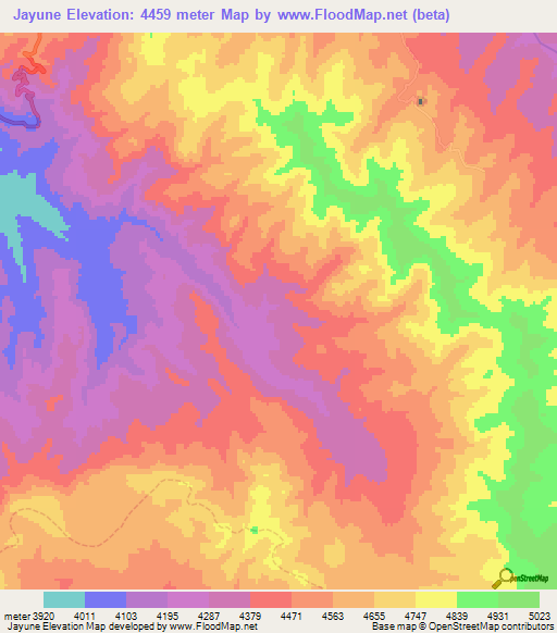 Jayune,Peru Elevation Map