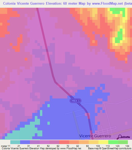 Colonia Vicente Guerrero,Mexico Elevation Map