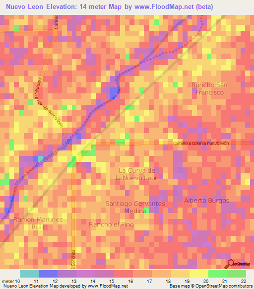Nuevo Leon,Mexico Elevation Map