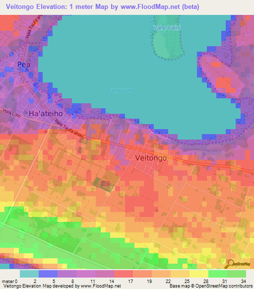 Veitongo,Tonga Elevation Map