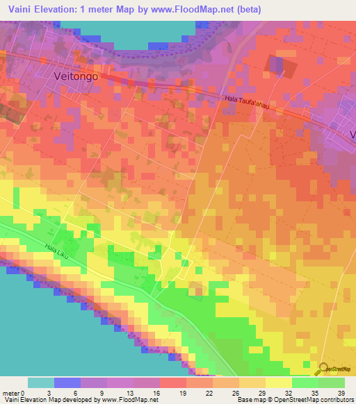 Vaini,Tonga Elevation Map