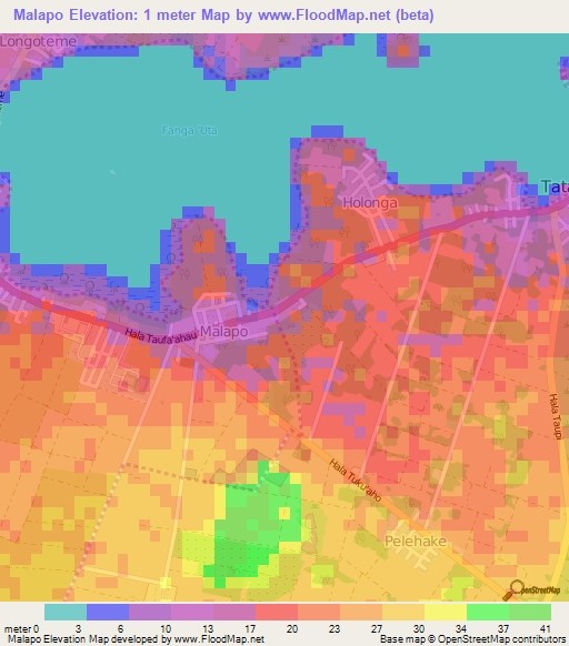 Malapo,Tonga Elevation Map