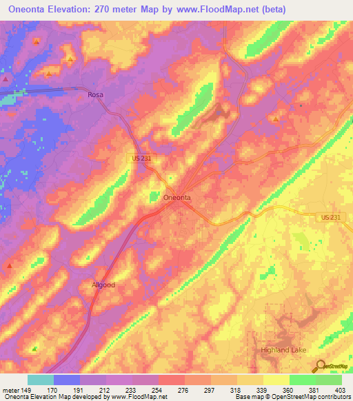Oneonta,US Elevation Map