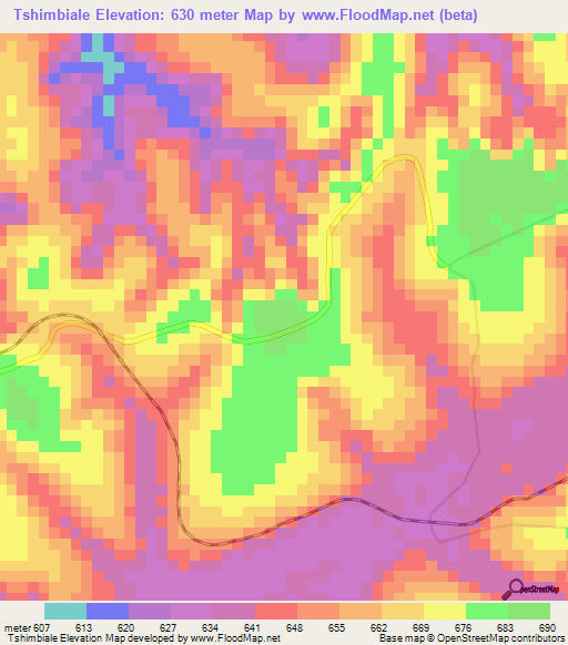 Tshimbiale,Congo (Kinshasa) Elevation Map
