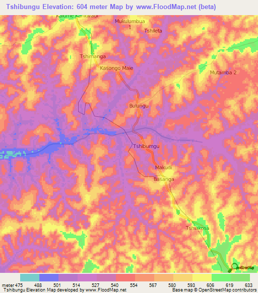 Tshibungu,Congo (Kinshasa) Elevation Map