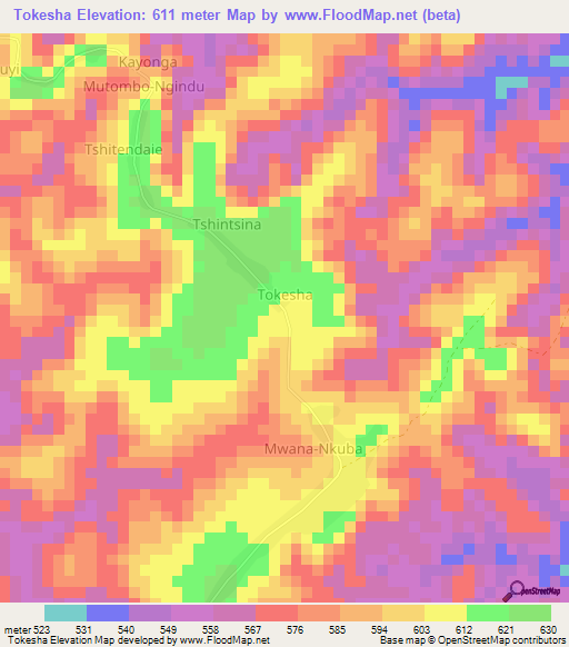 Tokesha,Congo (Kinshasa) Elevation Map