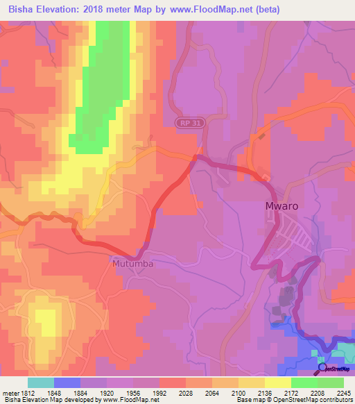 Bisha,Burundi Elevation Map