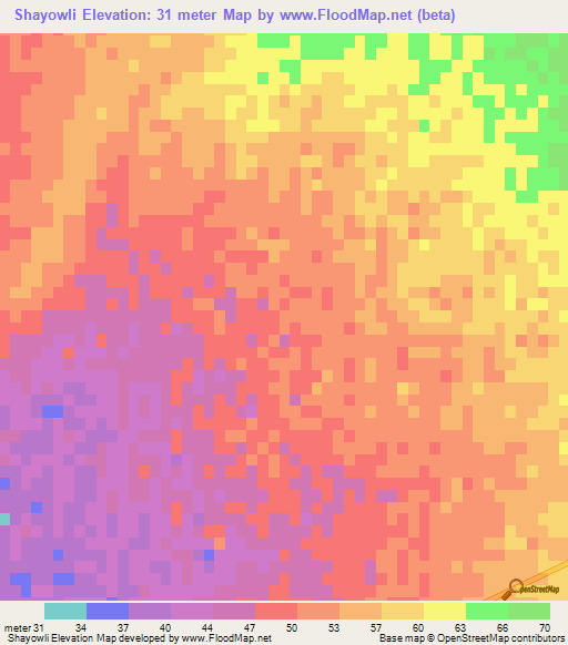 Shayowli,Iran Elevation Map