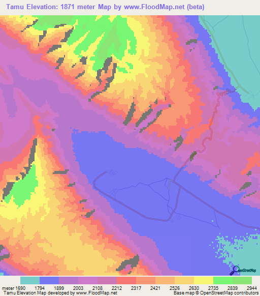 Tamu,Iran Elevation Map
