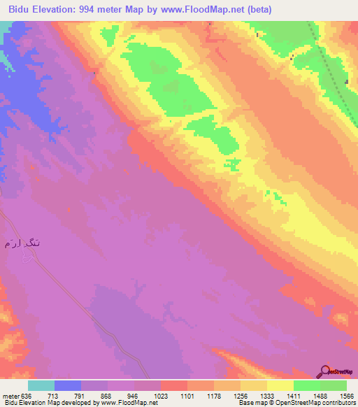 Bidu,Iran Elevation Map
