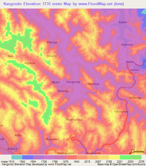 Kangondo,Uganda Elevation Map