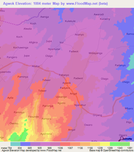 Agwok,Uganda Elevation Map