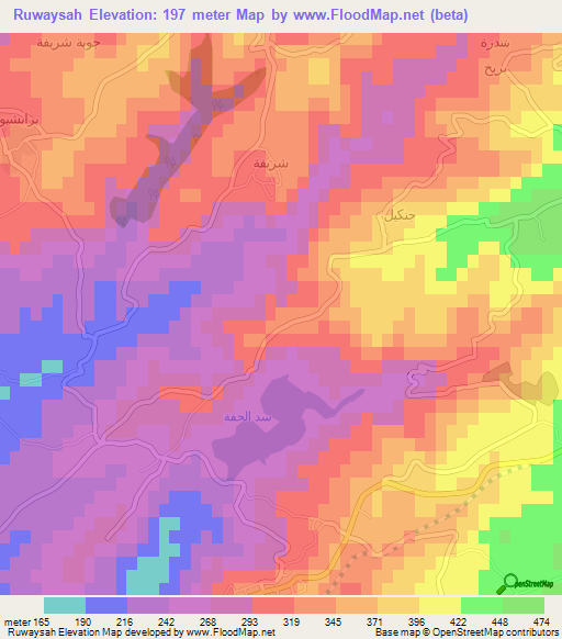 Ruwaysah,Syria Elevation Map