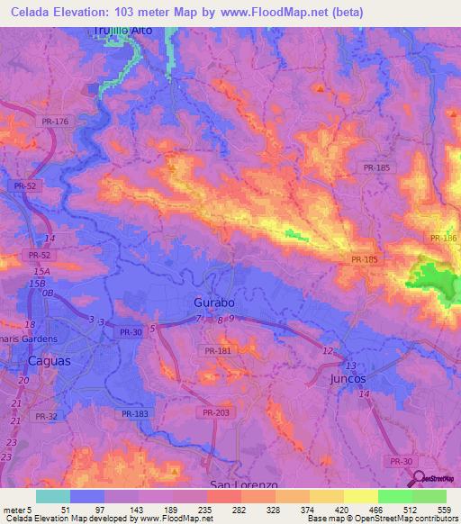 Celada,Puerto Rico Elevation Map