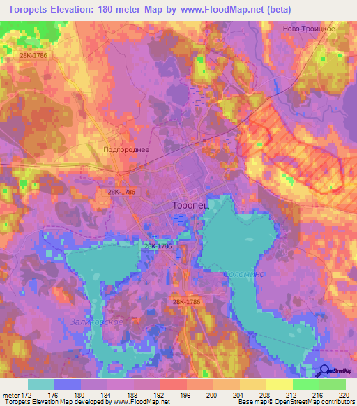 Toropets,Russia Elevation Map