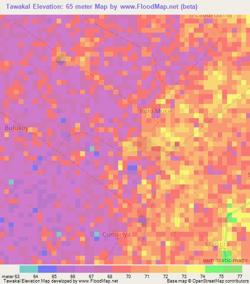 Tawakal,Somalia Elevation Map