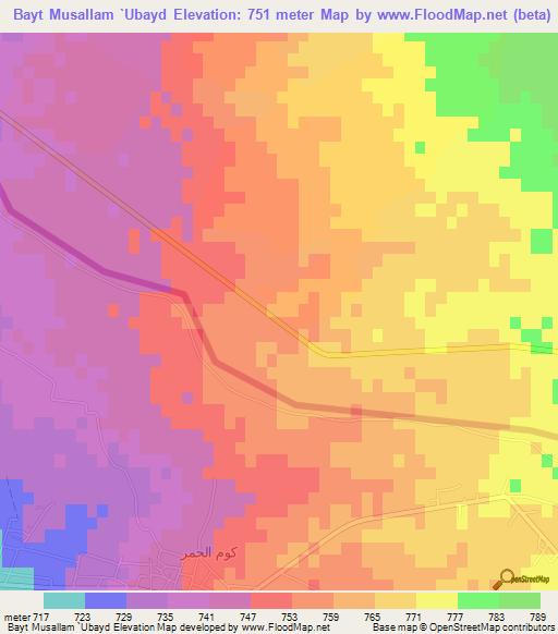 Bayt Musallam `Ubayd,Syria Elevation Map