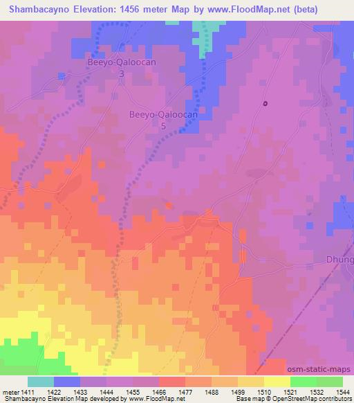 Shambacayno,Somalia Elevation Map