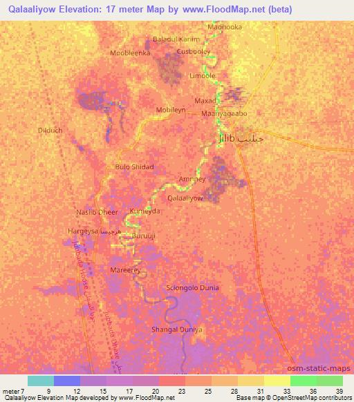 Qalaaliyow,Somalia Elevation Map