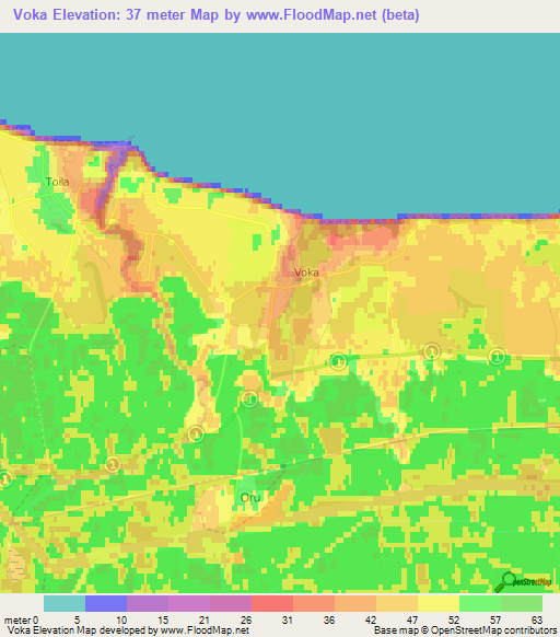 Voka,Estonia Elevation Map