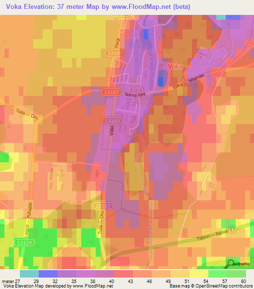 Voka,Estonia Elevation Map