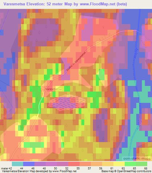 Varesmetsa,Estonia Elevation Map