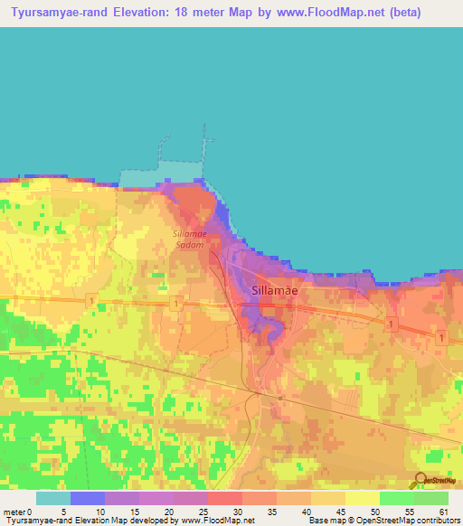 Tyursamyae-rand,Estonia Elevation Map